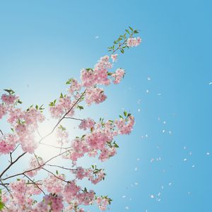 调教小男奴光着小jiji慕宝
